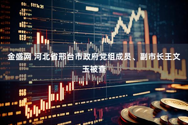 金盛网 河北省邢台市政府党组成员、副市长王文玉被查