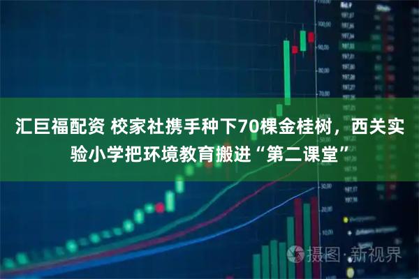 汇巨福配资 校家社携手种下70棵金桂树，西关实验小学把环境教育搬进“第二课堂”